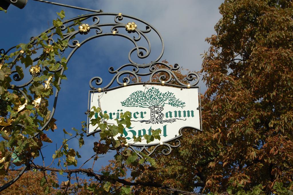 Hotel Gruener Baum Bretzenheim المظهر الخارجي الصورة